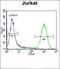 Ribosomal Protein S6 Kinase B1 antibody, orb224002, Biorbyt, Flow Cytometry image 