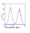 Pyruvate Dehydrogenase E1 Alpha 1 Subunit antibody, ab110330, Abcam, Flow Cytometry image 