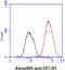 2,4-Dienoyl-CoA Reductase 1 antibody, GTX57680, GeneTex, Flow Cytometry image 