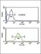 Vasodilator Stimulated Phosphoprotein antibody, orb214721, Biorbyt, Flow Cytometry image 