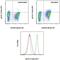 Spleen tyosine kinase  antibody, 17-9014-42, Invitrogen Antibodies, Flow Cytometry image 