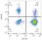 Neural Cell Adhesion Molecule 1 antibody, GTX18277, GeneTex, Flow Cytometry image 