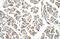 EGF Like Domain Multiple 8 antibody, A13264, Boster Biological Technology, Immunohistochemistry paraffin image 