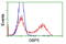 Guanylate-binding protein 5 antibody, CF502242, Origene, Flow Cytometry image 