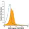 TNF Receptor Superfamily Member 4 antibody, PA5-46885, Invitrogen Antibodies, Flow Cytometry image 