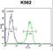 Tau Tubulin Kinase 2 antibody, LS-C160285, Lifespan Biosciences, Flow Cytometry image 