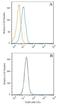 Toll Like Receptor 8 antibody, GTX12120, GeneTex, Flow Cytometry image 