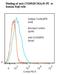 TNF Receptor Superfamily Member 17 antibody, LS-C357630, Lifespan Biosciences, Flow Cytometry image 