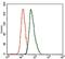 T antibody, NBP2-37473, Novus Biologicals, Flow Cytometry image 