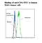 T-cell surface glycoprotein CD1c antibody, LS-C134216, Lifespan Biosciences, Flow Cytometry image 