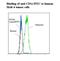 CD1c Molecule antibody, LS-C134216, Lifespan Biosciences, Flow Cytometry image 