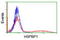 HSPA (Hsp70) Binding Protein 1 antibody, LS-C173187, Lifespan Biosciences, Flow Cytometry image 