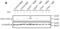 Diablo IAP-Binding Mitochondrial Protein antibody, 2409, ProSci, Western Blot image 