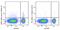 G Protein-Coupled Receptor 15 antibody, 154604, BioLegend, Flow Cytometry image 