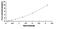 Heparan Sulfate 2-O-Sulfotransferase 1 antibody, MBS2023537, MyBioSource, Enzyme Linked Immunosorbent Assay image 