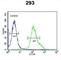 Fibroblast Growth Factor Binding Protein 3 antibody, abx032573, Abbexa, Western Blot image 