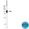 V-Set And Immunoglobulin Domain Containing 1 antibody, AF4818, R&D Systems, Western Blot image 