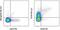 TNF Receptor Superfamily Member 18 antibody, 25-5874-82, Invitrogen Antibodies, Flow Cytometry image 