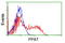 Phosphoribosyl Pyrophosphate Amidotransferase antibody, LS-C173828, Lifespan Biosciences, Flow Cytometry image 