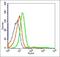 Transmembrane Protein 252 antibody, orb156213, Biorbyt, Flow Cytometry image 