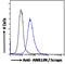 Anillin Actin Binding Protein antibody, 45-253, ProSci, Immunofluorescence image 