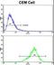 Transglutaminase 4 antibody, LS-C161838, Lifespan Biosciences, Flow Cytometry image 