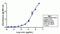 Matrix Metallopeptidase 3 antibody, 701285, Invitrogen Antibodies, Enzyme Linked Immunosorbent Assay image 