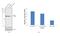 SMAD Family Member 7 antibody, 42-0400, Invitrogen Antibodies, Western Blot image 