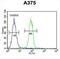 Endothelin Converting Enzyme 1 antibody, abx033018, Abbexa, Flow Cytometry image 