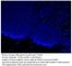 CD163 antibody, CD163-112AP, FabGennix, Immunofluorescence image 