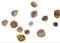 Signal Regulatory Protein Alpha antibody, 1125, ProSci, Immunocytochemistry image 