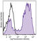 CD11b antibody, 101235, BioLegend, Flow Cytometry image 