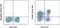 Selectin L antibody, 48-0621-80, Invitrogen Antibodies, Flow Cytometry image 