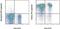 Selectin L antibody, 15-0621-83, Invitrogen Antibodies, Flow Cytometry image 