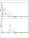 Endoglin antibody, abx031766, Abbexa, Flow Cytometry image 