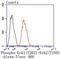 Erk1 antibody, NBP2-67359, Novus Biologicals, Flow Cytometry image 