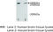 DOP1 Leucine Zipper Like Protein B antibody, MBS355093, MyBioSource, Western Blot image 