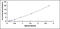 Osteoclast Associated Ig-Like Receptor antibody, OKCD01693, Aviva Systems Biology, Enzyme Linked Immunosorbent Assay image 