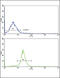 Actin Related Protein 2/3 Complex Subunit 1A antibody, LS-C156506, Lifespan Biosciences, Flow Cytometry image 