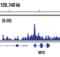 Negative Elongation Factor Complex Member B antibody, 14894S, Cell Signaling Technology, Chromatin Immunoprecipitation image 