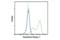 Transketolase antibody, 28755S, Cell Signaling Technology, Flow Cytometry image 