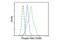 Checkpoint Kinase 2 antibody, 2197T, Cell Signaling Technology, Flow Cytometry image 