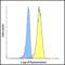 T Cell Immunoreceptor With Ig And ITIM Domains antibody, RF16056, ProSci, Flow Cytometry image 