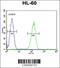 G Protein-Coupled Receptor 142 antibody, 55-742, ProSci, Flow Cytometry image 