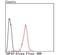 TAR DNA Binding Protein antibody, NBP2-80137, Novus Biologicals, Flow Cytometry image 