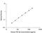 Transforming Growth Factor Beta 2 antibody, DB250, R&D Systems, Enzyme Linked Immunosorbent Assay image 