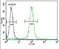 Meis Homeobox 2 antibody, PA5-25432, Invitrogen Antibodies, Flow Cytometry image 