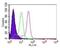 Caspase 8 antibody, MA1-41280, Invitrogen Antibodies, Flow Cytometry image 