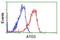 Autophagy Related 3 antibody, NBP2-01083, Novus Biologicals, Flow Cytometry image 