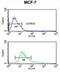 Catenin Alpha 1 antibody, abx032880, Abbexa, Flow Cytometry image 